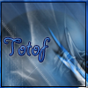avatartotof.png
