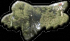 tibo-sur-le-road-gapfox.gif